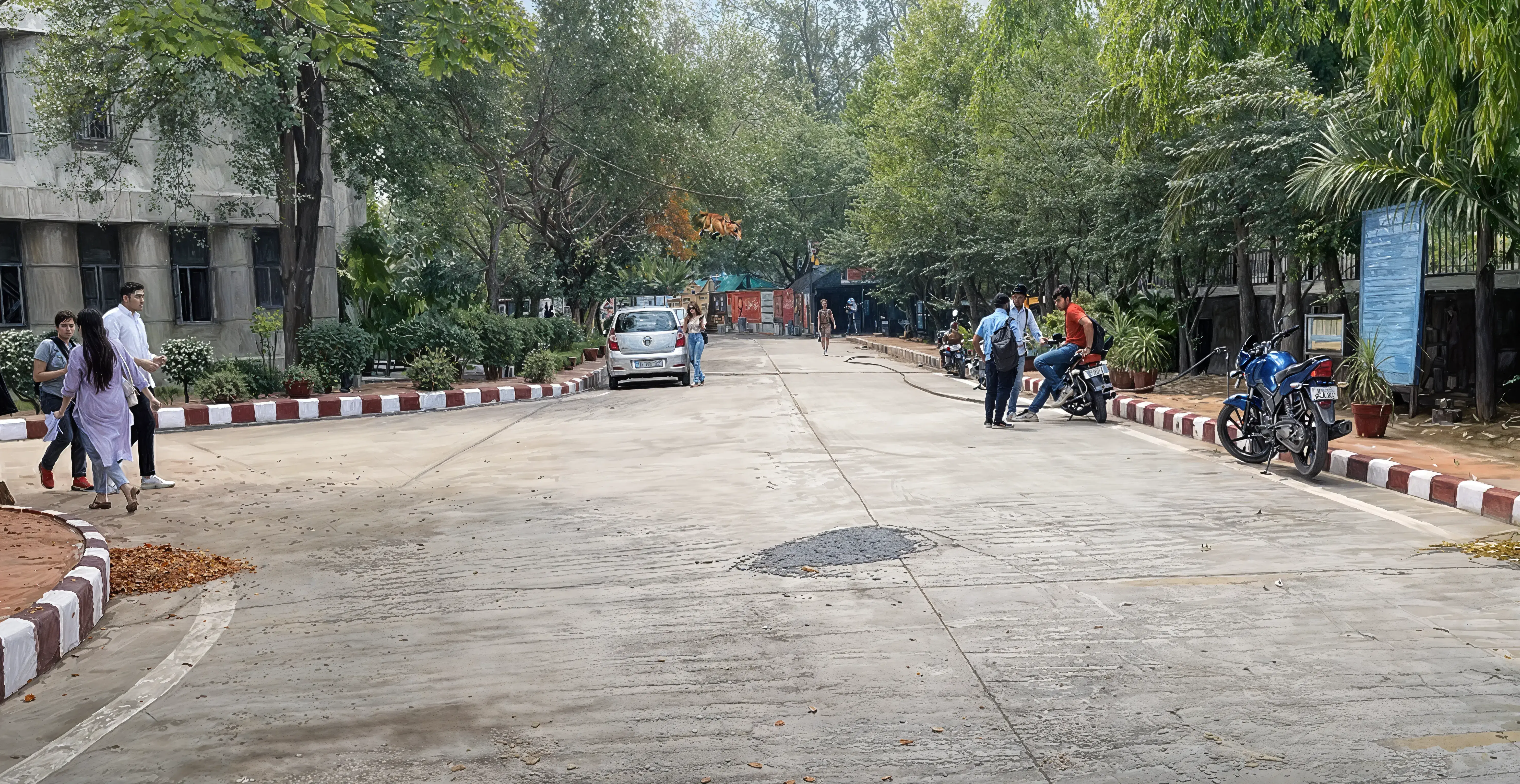 Swami Shraddhanand College Campus photo 7